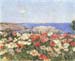 Poppies on the Isles of Shoals by Hassam