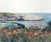 Poppies, Isles of Shoals [1] by Hassam
