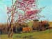 Landscape Blossoming Red Almond study by Godward