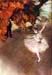 Prima Ballerina by Degas