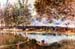 The Path to the Old Ferry, 1880 by Sisley