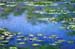 Water Lilies by Monet