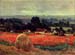 Copy of The poppy Blumenfeld (The barn) by Monet