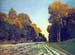 The road from Chailly to Fontainebleau by Monet