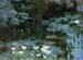 Water Lillies # 1 by Monet