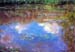 Water Lily Pond #4 by Monet