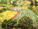 Blooming Field by Van Gogh