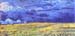 Field under storm heaven by Van Gogh