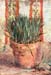 Flowerpot with Chives by Van Gogh