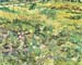 Meadow in the Garden of Saint-Paul Hospital by Van Gogh