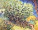 The bush by Van Gogh