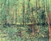 Trees and undergrowth by Van Gogh