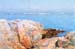Duck island by Hassam