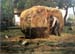 The Barnyard by Hassam