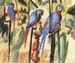 With the Parrots I by August Macke