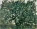 Tree by Lovis Corinth
