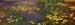 Copy of Nympheas by Monet