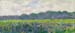 Field of Yellow Irises by Monet