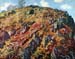 The boulder by Monet