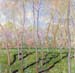 Trees in winter, look at Bennecourt by Monet