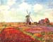 Tulips of Holland