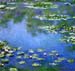 Water Lilies
