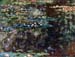 Water garden at Giverny by Monet