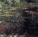 Water lilies, water landscape #5 by Monet