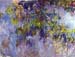 Wisteria [1] by Monet