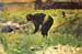 Farmer at work by Seurat