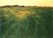 Field of green oats by Felix Vallotton