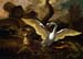 A Swan Enraged by Hondius