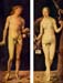 Adam and Eve by Durer