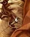 Resting on the Flight into Egypt detail 3 by Caravaggio