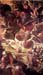 The Ascension 2 by Tintoretto