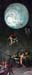 The flight to heaven by Bosch