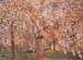 Cherry tree blooms by Joseph Rippl-Ronai