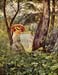 In the sunshine by Hans Thoma