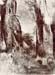 Trunks in the forest by Odilon Redon