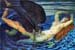 Wind and Wave by Franz von Stuck