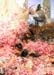 The roses of Heliogabalus detail by Alma-Tadema