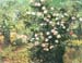 Flowering Rosebush by Van Gogh