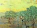Olive pickers in a grove by Van Gogh