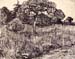 Tree in a meadow by Van Gogh