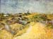 Vegetable Gardens in Montmartre by Van Gogh