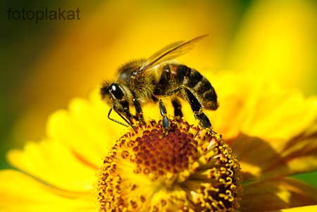 Depositphotos_1005916_original
