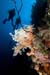 Depositphotos_10742404_XXL