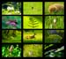 Depositphotos_1904983_original