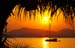 Depositphotos_2899667_original