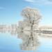 Depositphotos_4419759_original